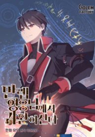 The Max Level Hero Has Returned
